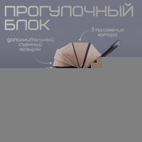 Коляска модульная BubaGO Lotta Limited 3в1 бежевая
