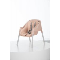 Стульчик для кормления 3в1 Evenflo™ Trilo Rose