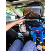 Органайзер детский МАКС прозрачный с карманом для планшета АвтоБра 5161