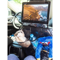 Органайзер детский МАКС прозрачный с карманом для планшета АвтоБра 5161