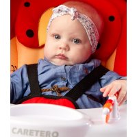 Детские электрокачели Caretero Bugies Grey