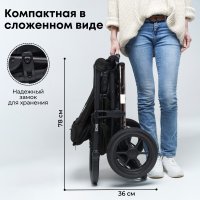 Прогулочная коляска BubaGO Bass Chrome Чёрный
