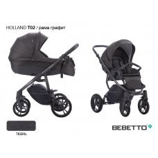 Детская коляска 2 в 1 Bebetto Holland_T02_GRF