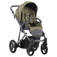 Детская коляска 2 в 1 Bebetto Flavio_04_GRF