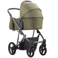 Детская коляска 2 в 1 Bebetto Flavio_04_GRF