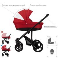 Детская коляска 2 в 1 Bebetto Magnum LUX_04_CZA