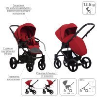 Детская коляска 2 в 1 Bebetto Magnum LUX_04_CZA