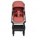 Прогулочная коляска PITUSO AMELI Frosty berry/чехол на ножки/PU