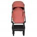 Прогулочная коляска PITUSO AMELI Frosty berry/чехол на ножки/PU