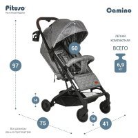 Коляска PITUSO CAMINO Black Plum