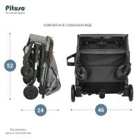 Коляска PITUSO CAMINO Black Plum