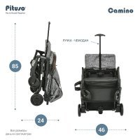 Коляска PITUSO CAMINO Black Plum