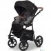 Универсальная коляска Riko Basic (2 в 1, anthracite) Универсальная коляска Riko Basic (2 в 1, anthracite)