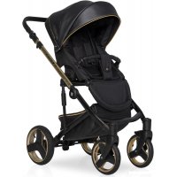 Универсальная коляска Riko Ozon Premium (3 в 1, 34 gold black)