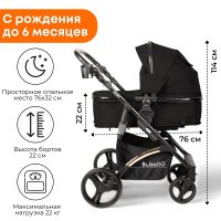 Коляска-трансформер на золотой раме BubaGO Zoom Чёрная